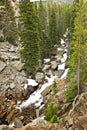 A wild creek in Rocky mountains Royalty Free Stock Photo