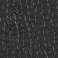 Wild crocodile leather texture. Seamless square background, tile ready. Royalty Free Stock Photo