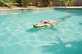 Wild crocodile swims in swimming pool with blue water of private house or resort hotel area Royalty Free Stock Photo