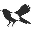 Wild Cuckoo Bird. Black And White Silhouette.