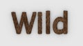 Wild - 3d word brown on white background. render furry letters. hair. wilds fur. emblem logo design template. wild animals,