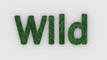 Wild - 3d word green on white background. render furry letters. hair. wilds fur. emblem logo design template. wild animals,