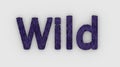 Wild - 3d word violet on white background. render furry letters. hair. wilds fur. emblem logo design template. wild animals,