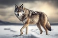 wild dangerous wolf with gray and white fur walking on snowy generative Ai