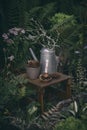 Wild dark shady garden decorations. Wooden table with vintage watering can