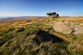 Wild Dartmoor