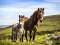 Ai Generated illustration Wildlife Concept of Wild Dartmoor and foal