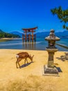 Miyajima, Japan Royalty Free Stock Photo