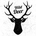 Wild deer logo with grunge effect