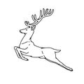 Wild deer male buck with branched horns jumped view profile vector outline black white sketch illustration. Royalty Free Stock Photo