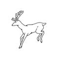 Wild deer male buck with horns jumped view profile vector outline black white sketch illustration. Royalty Free Stock Photo