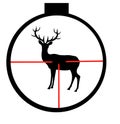 Wild deer in optical sight