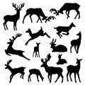 Wild deer silhouette vector set males and females with babies in different poses illustrations isolated on white
