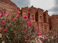 Wild desert flowers in front of the monastery at Petra, Jordan