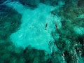 Wild Dolphins of Isla Mujeres - Aerial View