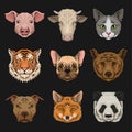 Wild and domestic animals set, heads of pig, cow, bulldog, cat, bear, pug, tiger, fox hand drawn vector Illustrations Royalty Free Stock Photo