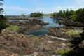 Wild And Dramatic Lighthouse Loop On Wild Pacific Trail Vancouver Island Canada