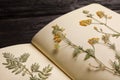 Wild dried meadow flowers in notebook on table