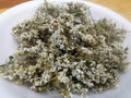 Wild Dried Yarrow Flowers Herbal Tea. Herbalism. Naturopathy.