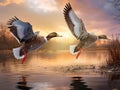 Wild ducks flying over the lake Royalty Free Stock Photo