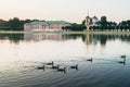 Wild ducks on the palace pond in museum-estate Kuskovo, Moscow. Royalty Free Stock Photo