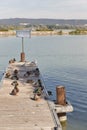 Wild ducks sitting on wooden pier. Lake Balaton, Hungary. Royalty Free Stock Photo