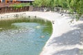 Wild ducks swim in a pond in a summer park. Ornithology. Life of wild birds. Royalty Free Stock Photo