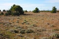 Wild dunes covered with low and stringy arid vegetation beyond the network of the fenced park to protect the pristine nature of