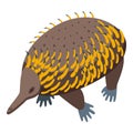 Wild echidna icon isometric vector. Nature animal Royalty Free Stock Photo