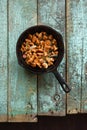 Wild edible mushrooms. Chanterelle mushrooms fried in cast iron Royalty Free Stock Photo