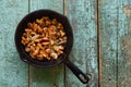 Wild edible mushrooms. Chanterelle mushrooms fried in cast iron Royalty Free Stock Photo