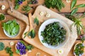 Wild edible spring plants on a wooden table