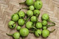 Wild egg plants or brinjal, Solanum aethiopicum, bitter fruits with herbal and medicinal properties