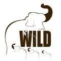 Wild Elephant Illustration.