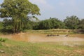 Wild elephant lephus maximus vilaliya having a bath. Safari in a National Park Yala, Sri Lanka Royalty Free Stock Photo