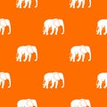 Wild elephant pattern seamless