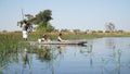 Wild Elephants seen on a river during a canoe safari in the Moremi Game Reserve in Okavango Delta, Botswana.