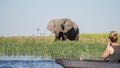 Wild Elephants seen on a river during a canoe safari in the Moremi Game Reserve in Okavango Delta, Botswana.