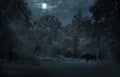 Wild elk entered a glade at full moon