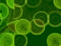 Wild Energetic Abstract Spheres Graphic Background in Green