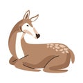 Wild fawn animal nature icon Royalty Free Stock Photo