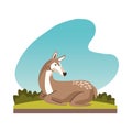 Wild fawn animal nature icon Royalty Free Stock Photo