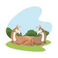 Wild fawn animal nature icon Royalty Free Stock Photo