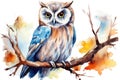 Owl watercolor wild bird design illustration wildlife white art animal nature Royalty Free Stock Photo