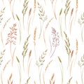 Wild field grass vector pattern