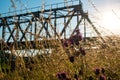 Wild field herbs and flowers against the background of the metal structure of the old railway bridge Royalty Free Stock Photo