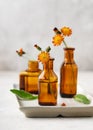 Wild field herbs, orange hawkweed flowers in bottles of different shapes on a white-gray background as a decoration.