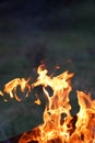 Wild Fire at a barbecue on great night Royalty Free Stock Photo