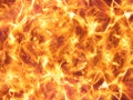 Wild fire flames Royalty Free Stock Photo