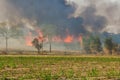 Wild fires that are spreading to sugarcane of farmers fields and have the large smoke groups